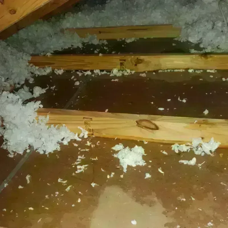 Attic Water Damage in Mercer, PA